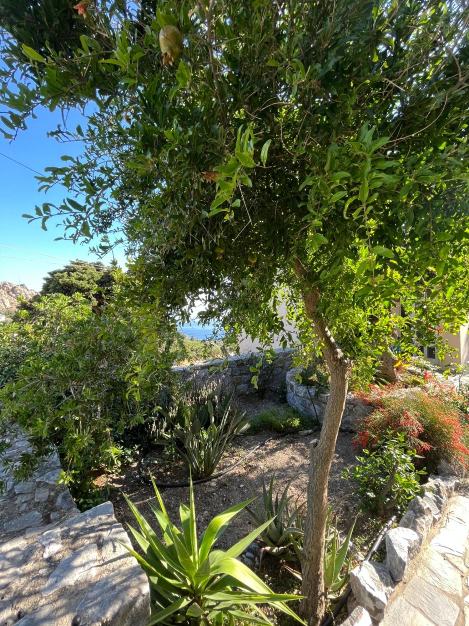 Petasos House - Garden - Sea View Villa Sellía Exterior photo